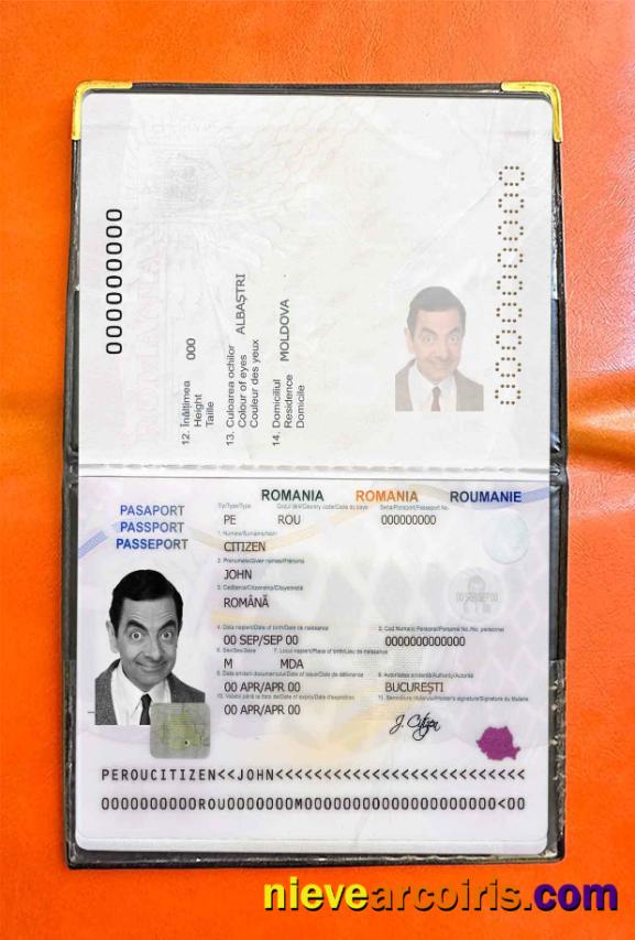 Romania passport photolook